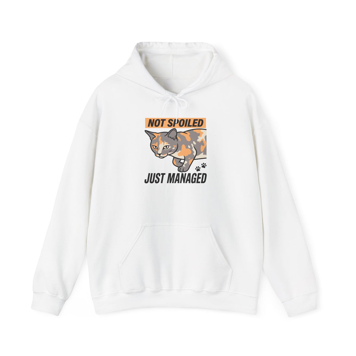 Not Spoiled Just Managed — Cozy Cat Lover Hoodie | Petsy Square