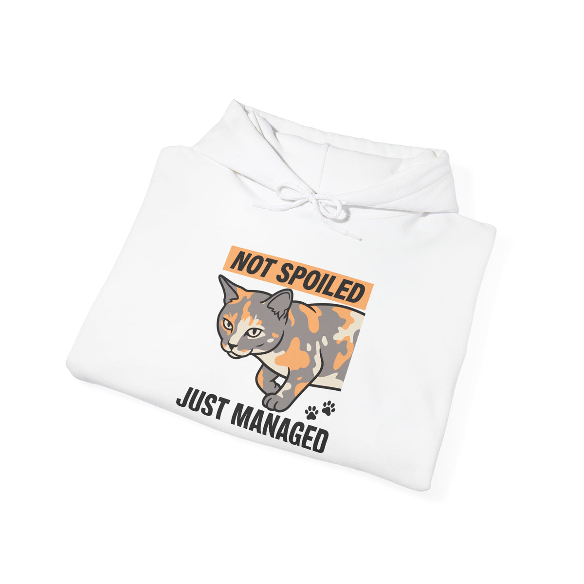 Not Spoiled Just Managed — Cozy Cat Lover Hoodie | Petsy Square