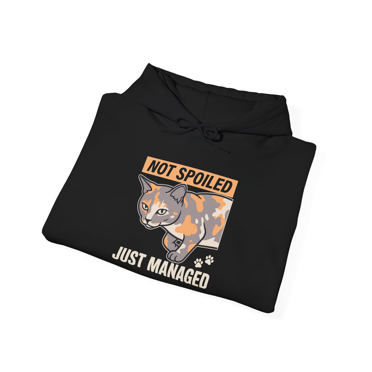 Not Spoiled Just Managed — Cozy Cat Lover Hoodie | Petsy Square