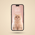 Free Cat & Shiba Phone Wallpaper Pack