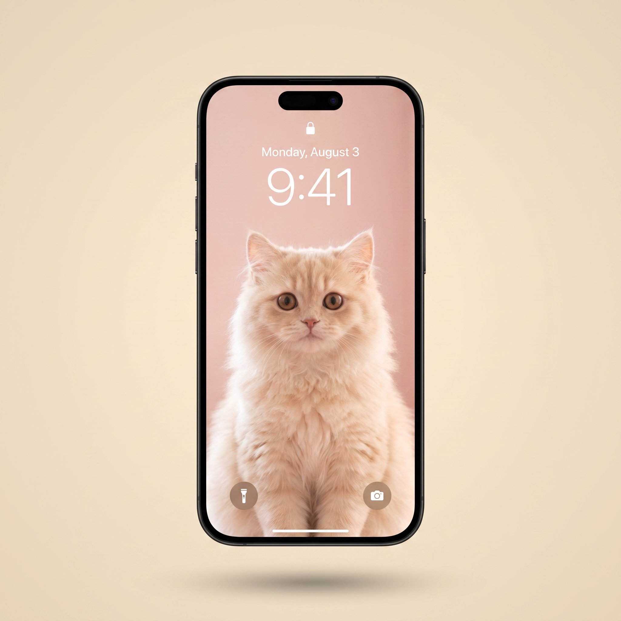 Free Cat & Shiba Phone Wallpaper Pack